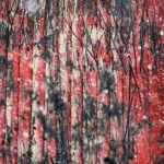 Saison 5 - 3 A. Poupel - Saison 5 - 3