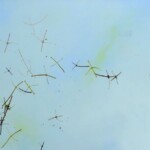 la flèche du temps<br />114 x 162 cm