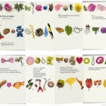 Le trésor de Yukiko<br />Livre d'artiste Le trésor de Yukiko