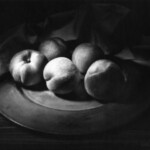 Cinq pêches<br />20 x 25 cm Cinq pêches