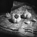 Ails sur un papier journal<br />20 x 25 cm Ails sur un papier journal