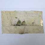 Décembre<br />13,5 x 23,5 cm Décembre