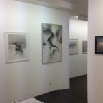 Exposition Exposition