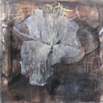 Pollen<br />120 x120 cm Pollen120 x120 cm