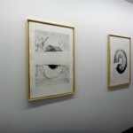 Exposition Exposition