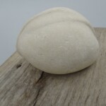 Fossile<br />11,5 x 11,5 x 15 cm Fossile