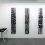 Unwanted Plant, Livres I,II,III<br />200 x 36 cm Unwanted Plante, Livres I,II,III