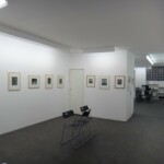 Exposition Exposition