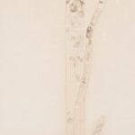 Neige poudreuse<br />93 x 25 cm Neige poudreuse