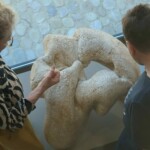 Walking skin 17<br />65 x 62 x 54cm Walking skin 17