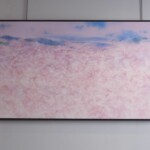 Nuage de fleurs<br />89,4 x 145,5cm Nuage de fleurs