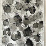 Rosehips<br />76x57cm Rosehips