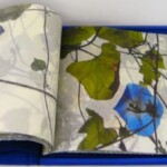 Livre d'artiste "volubilis" Livre d'artiste "volubilis"